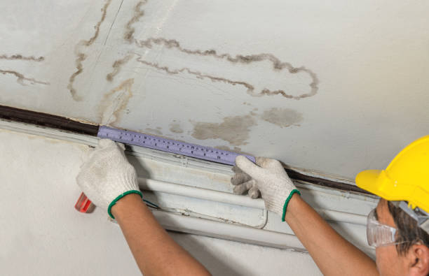 Reliable Water Damage contractor in Poteet, TX by Water Damage Irwin